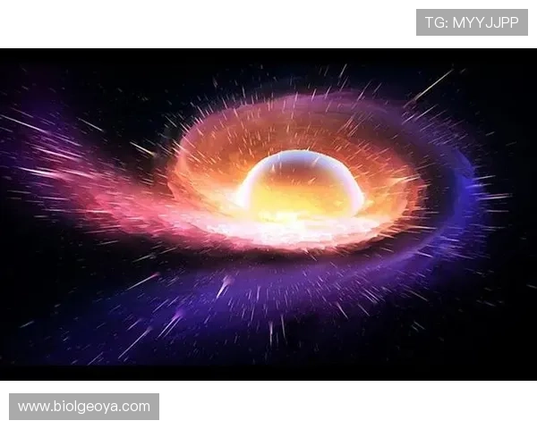 星空官方网站登录入口使用技巧,提升登录效率享受更优质的服务 星空官方网站登录入口使用技巧,提升登录效率享受更优质的服务