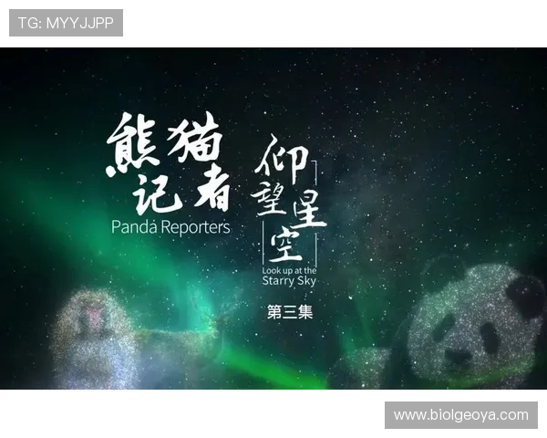 星空平台入口的常见问题解答与解决方案