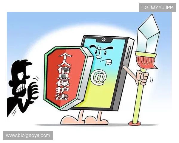 星空官网入口的安全性分析及用户隐私保护措施 星空官网入口的安全性分析及用户隐私保护措施