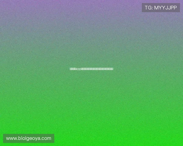 星空棋牌app：让你轻松竞技，欢聚好友，共享无尽精彩时光