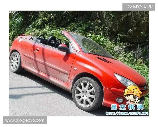 星空棋牌：在星空的背景下体验精彩纷呈的棋牌赛事，感受夜空的神秘魅力