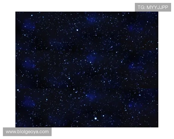 星空软件官网下载后的安装体验与功能推荐 星空软件官网下载后的安装体验与功能推荐