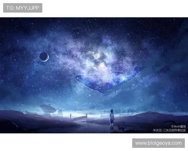 畅享星空网页版入口功能深度解析,玩转网络社区的新选择 畅享星空网页版入口功能深度解析,玩转网络社区的新选择