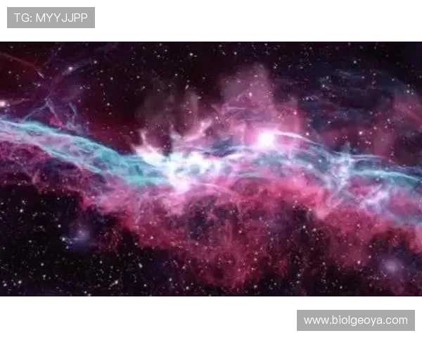 解析星空体育app下载方式的多种途径与注意事项