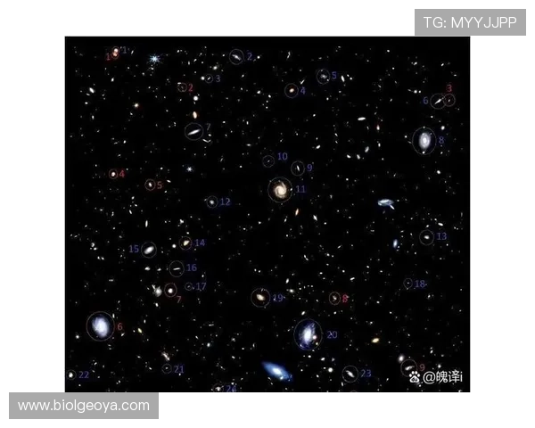 星空com网站丰富的天文资源与学习资料,提升你的天文知识水平和观测技巧 星空com网站丰富的天文资源与学习资料,提升你的天文知识水平和观测技巧