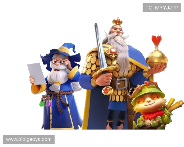 星空体育app网页版入口特色功能盘点，带你发现平台的独特魅力