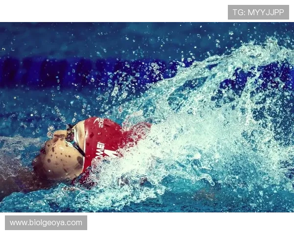 星空体育体育：探索夜空下的运动新体验，点亮你的运动激情与星辰梦想