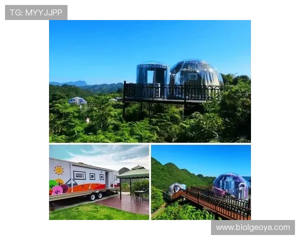 星空体育娱乐官网:优质的客户服务体系保障用户在平台上的每一次互动