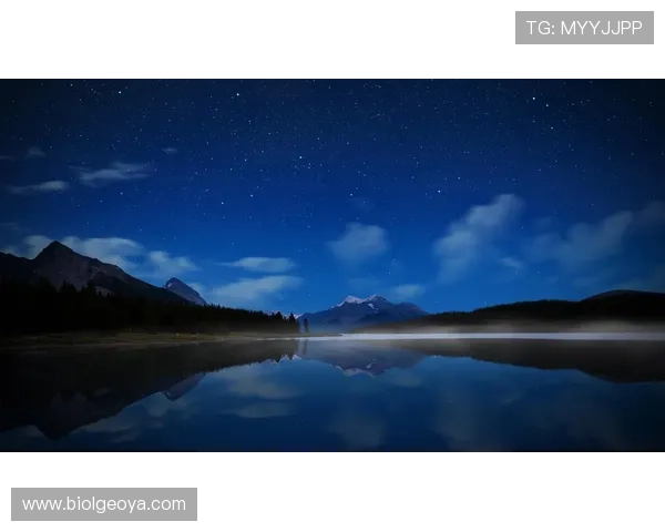 星空体育官网首页登录流程详解,助你轻松掌握登录操作步骤 星空体育官网首页登录流程详解,助你轻松掌握登录操作步骤