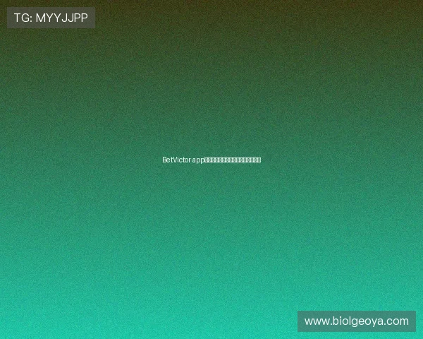 BetVictor app的客户服务与技术支持体验心得总结