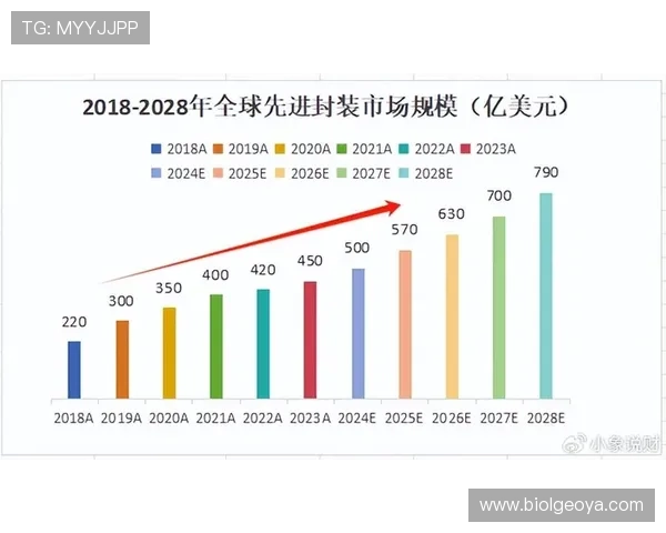 U体育多元化内容丰富满足不同年龄层运动需求