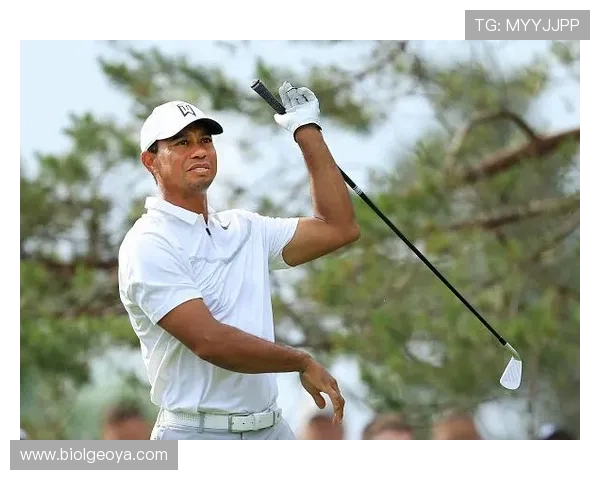 中欧体育买球赛：用户体验提升指南及常见问题解答帮助新手快速上手