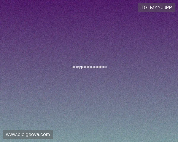 乐动体育app用户评论，真实用户体验分享与反馈