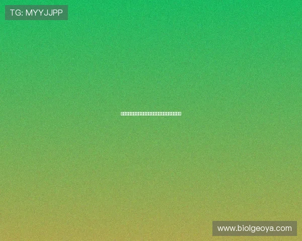 乐动体育：平台在青少年体育教育中的角色与推广途径