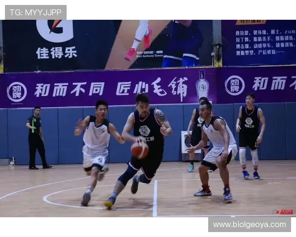 从娱乐到专业:KK体育多元化内容布局引领行业新潮流 从娱乐到专业:KK体育多元化内容布局引领行业新潮流