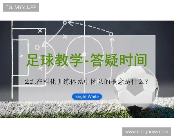 伟德足球:专业分析团队带来赛前预测与赛后总结精彩解读