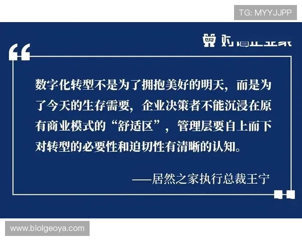 八戒体育：推动体育产业数字化转型实现高质量发展之路
