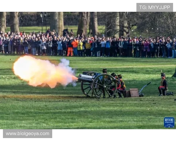 如何在ld体育平台中参与虚拟体育娱乐项目