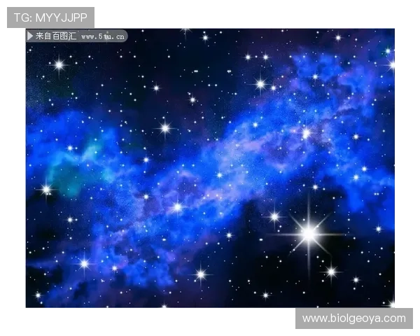 掌握星空娱乐官方下载步骤,快速安装开启你的精彩娱乐之旅 掌握星空娱乐官方下载步骤,快速安装开启你的精彩娱乐之旅