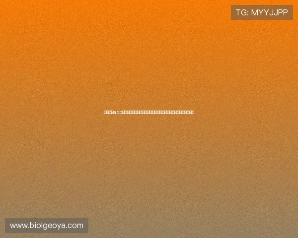 星空体育app下载官网客服中心全天候在线为用户解决使用中遇到的问题和建议