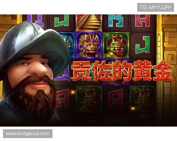 星空体育app官方入口最新版本安全稳定登录指南推荐