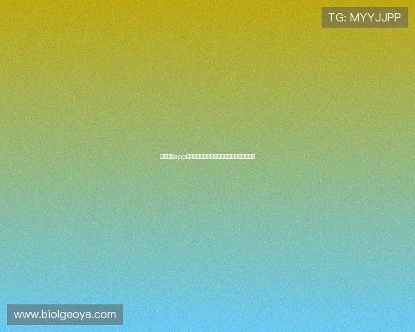 星空体育app官网入口登录平台的功能特色与用户操作指南