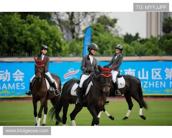 星空体育棋牌：打造全民互动的健康休闲新模式