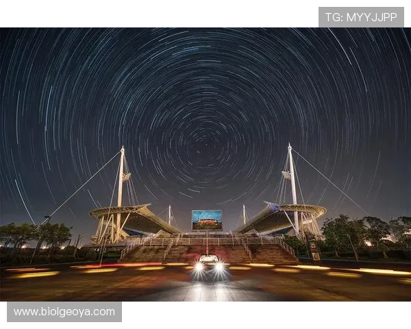 星空体育登录成功后可以进行哪些丰富的体育赛事投注