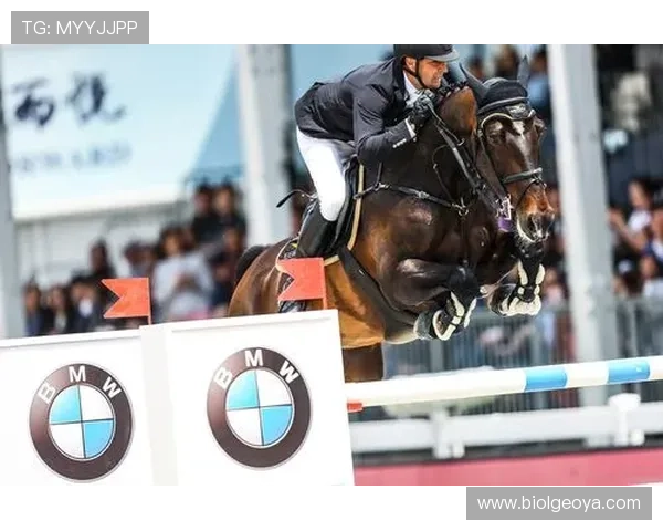 星空体育综合入口：助力用户轻松找到喜欢的体育赛事内容