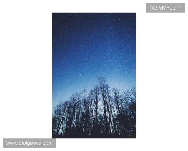 星空官方在线登录入口最新公告，帮助用户了解最新登录通道的变动与更新内容