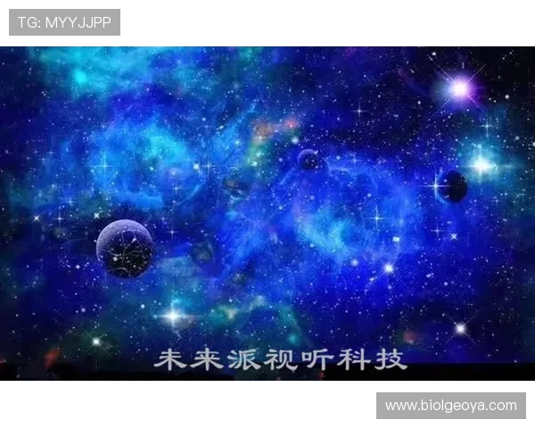 星空官网登录入口：掌握星空官网登录入口的多种方式与安全保障措施