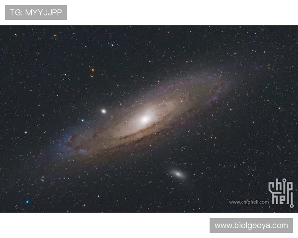 星空正规官网用户评价汇总真实用户体验分享帮助新手了解平台优势与注意事项提升整体满意度