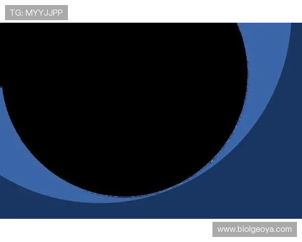 星空足球官网版登录入口操作流程解析:详细步骤教你轻松登录 星空足球官网版登录入口操作流程解析:详细步骤教你轻松登录