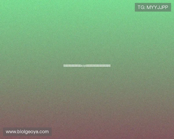 苹果用户下载安装星空体育app的实用技巧,轻松开启体育娱乐新体验