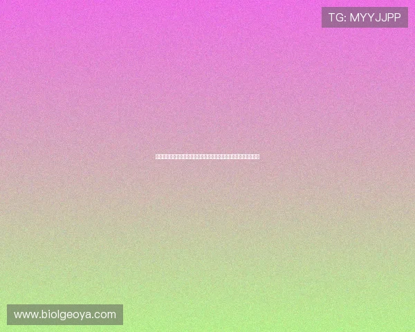 新西兰与埃及锋线战术配合分析:谁能在世界杯中实现最佳配合效果 新西兰与埃及锋线战术配合分析:谁能在世界杯中实现最佳配合效果