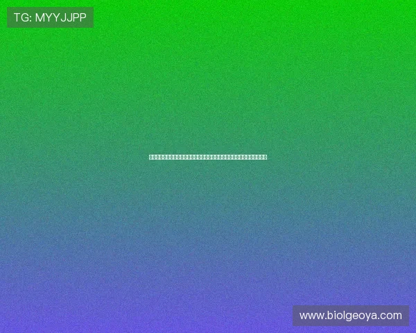 网络皇冠买球助力世界杯竞猜体验全面升级，打造最专业的体育赛事投注平台