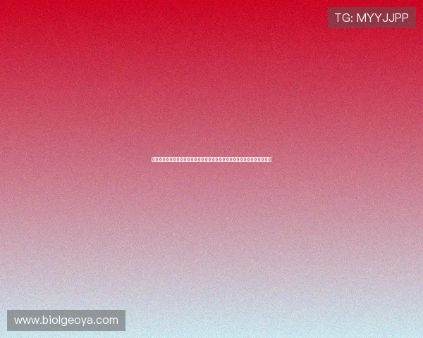 塞尔塔足球队获得星空体育平台的慷慨赞助,助力球队在国内外赛事中的表现 塞尔塔足球队获得星空体育平台的慷慨赞助,助力球队在国内外赛事中的表现