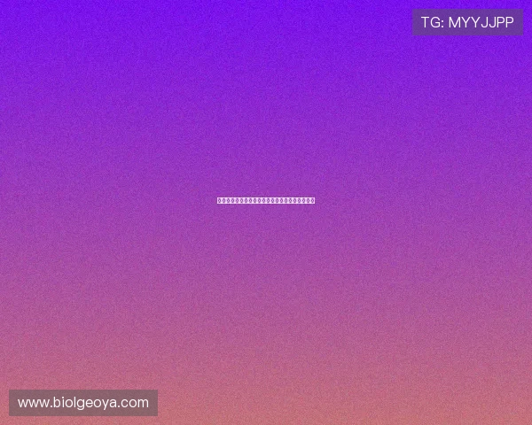 掌握星空游戏下载详细攻略助你轻松入门星际冒险 掌握星空游戏下载详细攻略助你轻松入门星际冒险