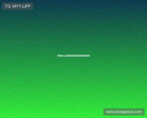 星空体育app平台安全稳定保障用户数据隐私与账号安全 星空体育app平台安全稳定保障用户数据隐私与账号安全