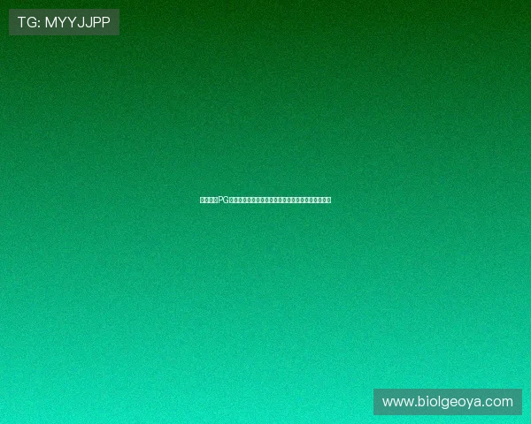 星空体育PG娱乐指南：新手入门必须了解的注册与资金安全技巧